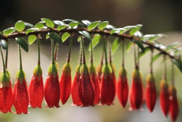 肇庆鼎湖区私人快速借钱网，轻松解决资金难题