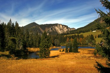 肇庆鼎湖区民间私贷攻略：揭秘低成本借贷的秘密