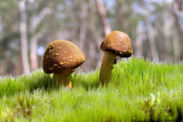 肇庆鼎湖区私人老板放款：轻松融资的秘密通道